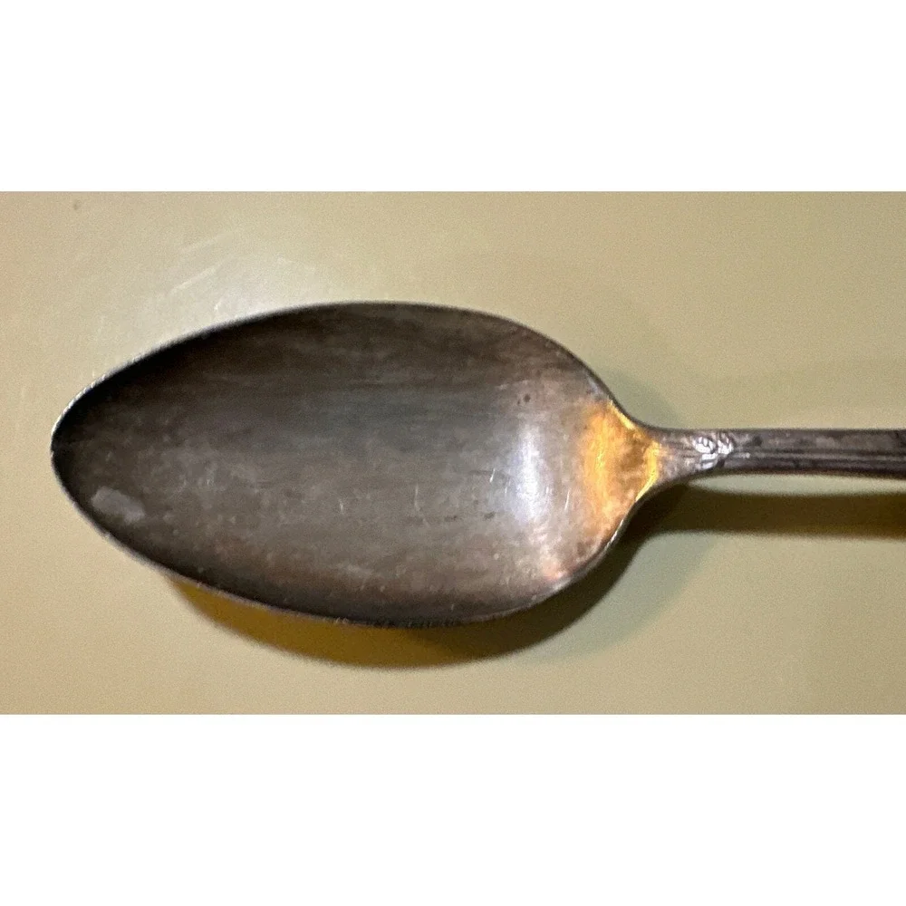 WmRogers Mfg Co TUPPERWARE ROSE pattern silverplate Serving Spoon 8 1/2 Inch